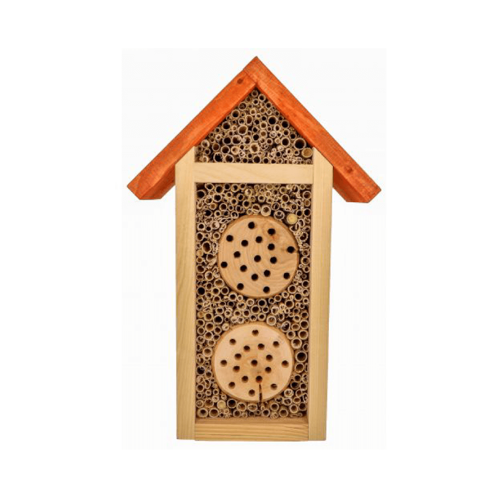 Gite à insectes premium