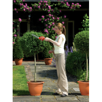 BLACK+DECKER 3,6V struikschaar GSL300-QW
