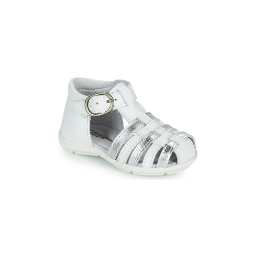 Citrouille et Compagnie - RINE - Blanc / Argent