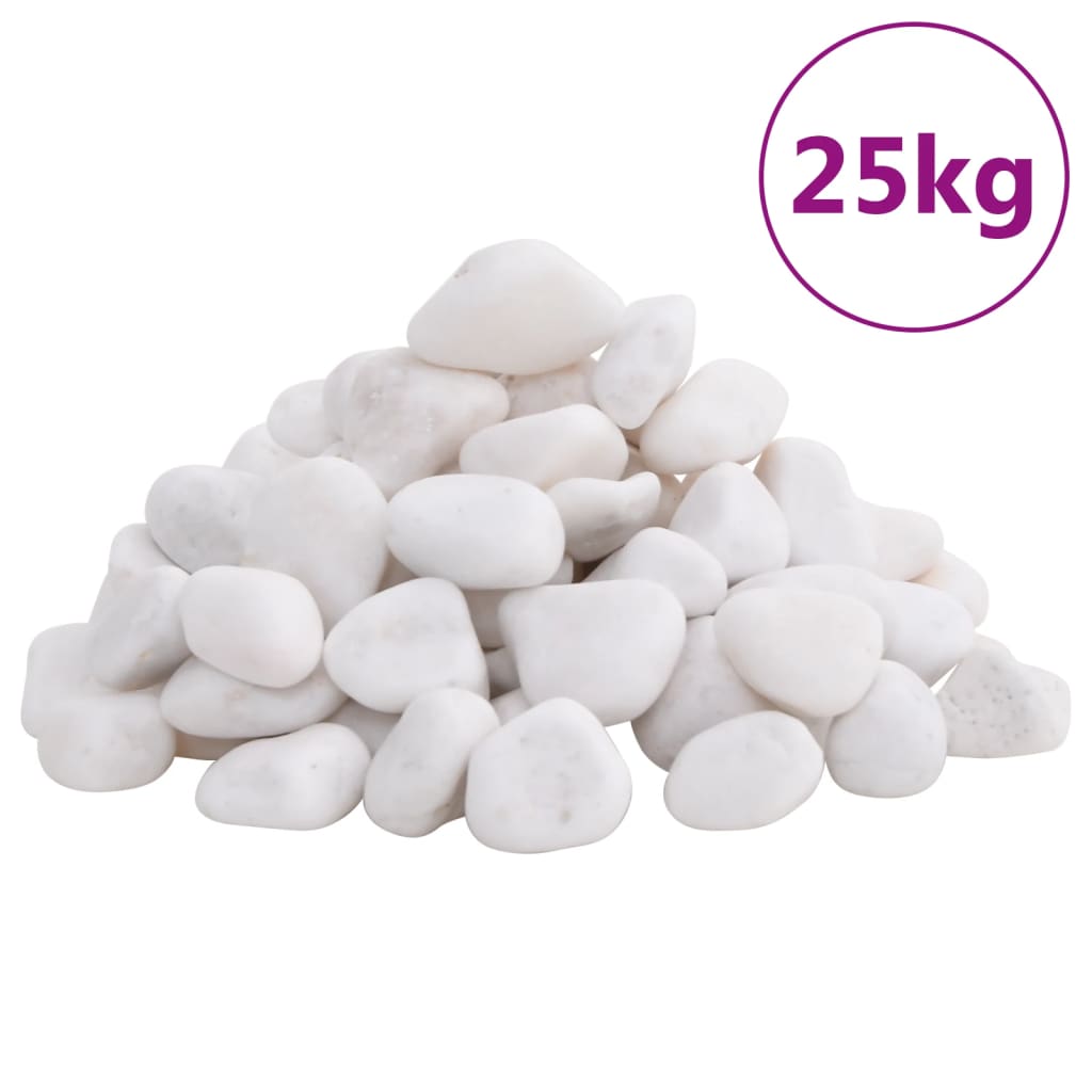 vidaXL Pedras Brancas Polidas 10 kg 2-5 cm