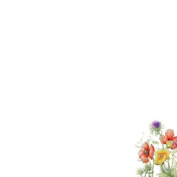 Janneke Brinkman | Valentijnskaart | bloemen