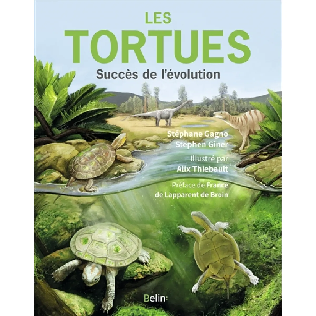 Les tortues : succès de l'évolution · Occasion