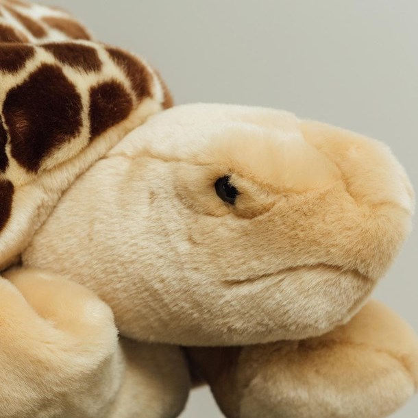 Tortue rosalie 50 cm