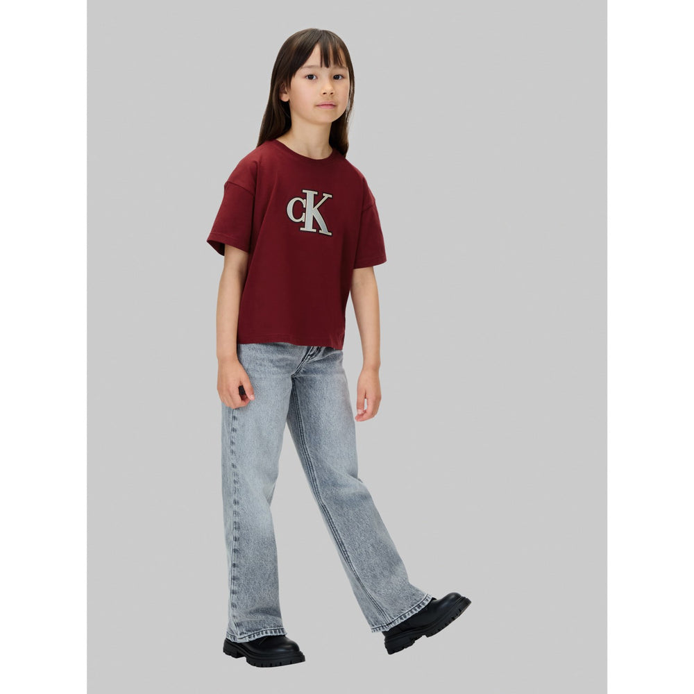 Køb Calvin Klein Raspberry Chocolate Festive Graphic Ss T-Shirt