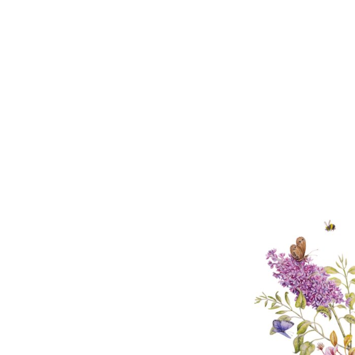 Janneke Brinkman | Verjaardagskaart | Bloemen | Knuffels