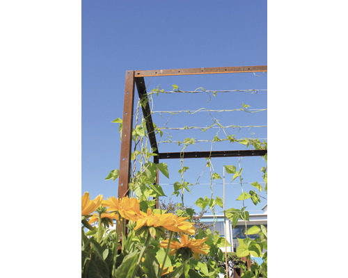 Palatino Urban verhoogde tuinbedset met trellis, 200 x 100 x 183 cm, bruin, inclusief staalkabel met klemmen