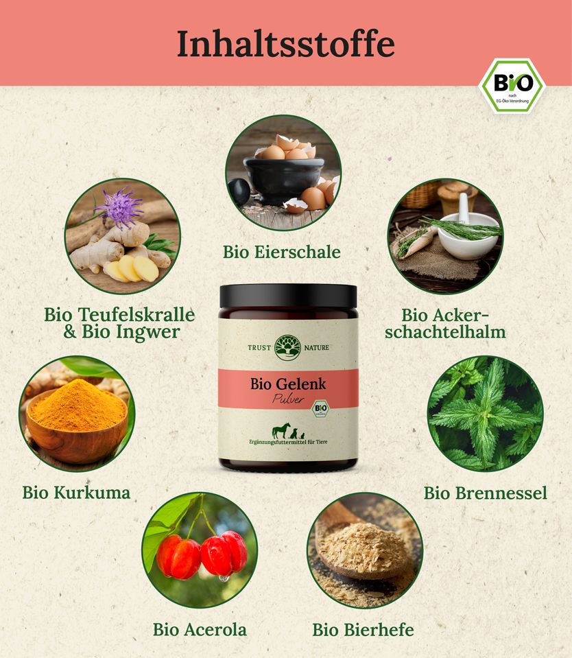 Trust Nature Bio Gelenkpulver für Hunde