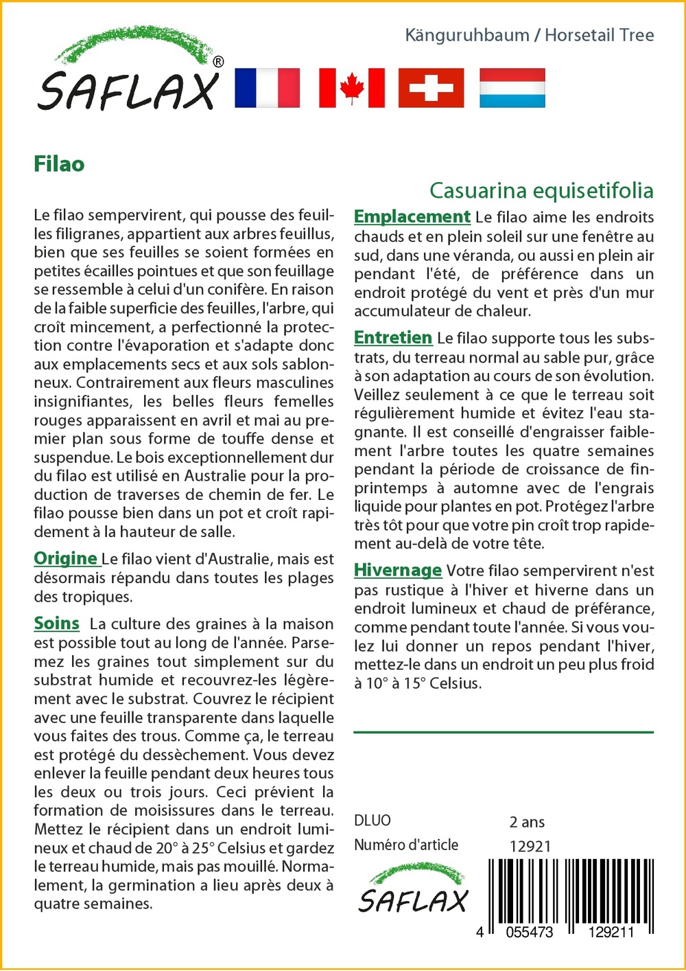 Filao - 200 graines - avec substrat - casuarina equisetifolia