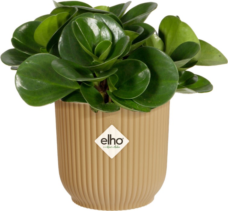 Elho bloempot Vibes geel D 11,1 H 10,5 cm