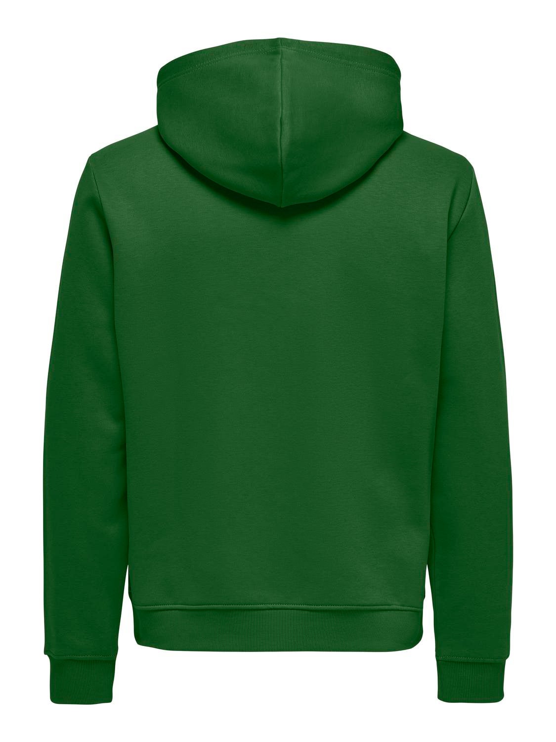 ONSCONNOR Sweatshirt Formal Garden