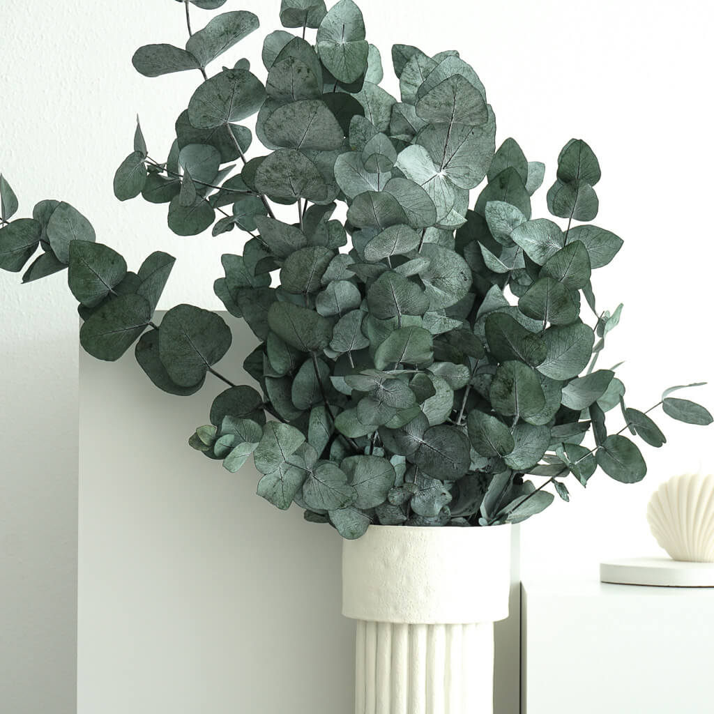 Geconserveerde Eucalyptus Cinerea - Een vleugje natuur dat lang meegaat! - Bundel