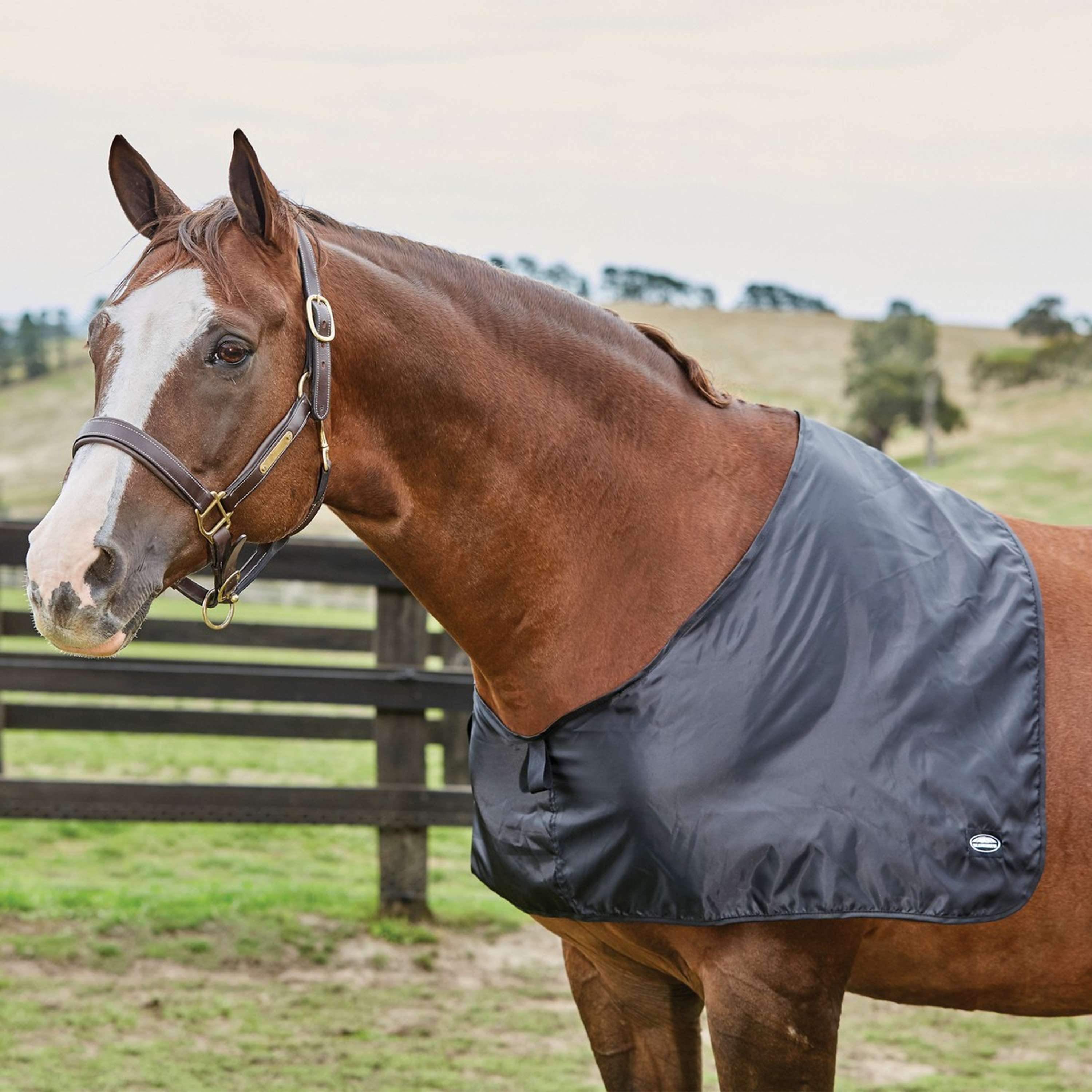 WeatherBeeta Shoulder Guard Satin Black