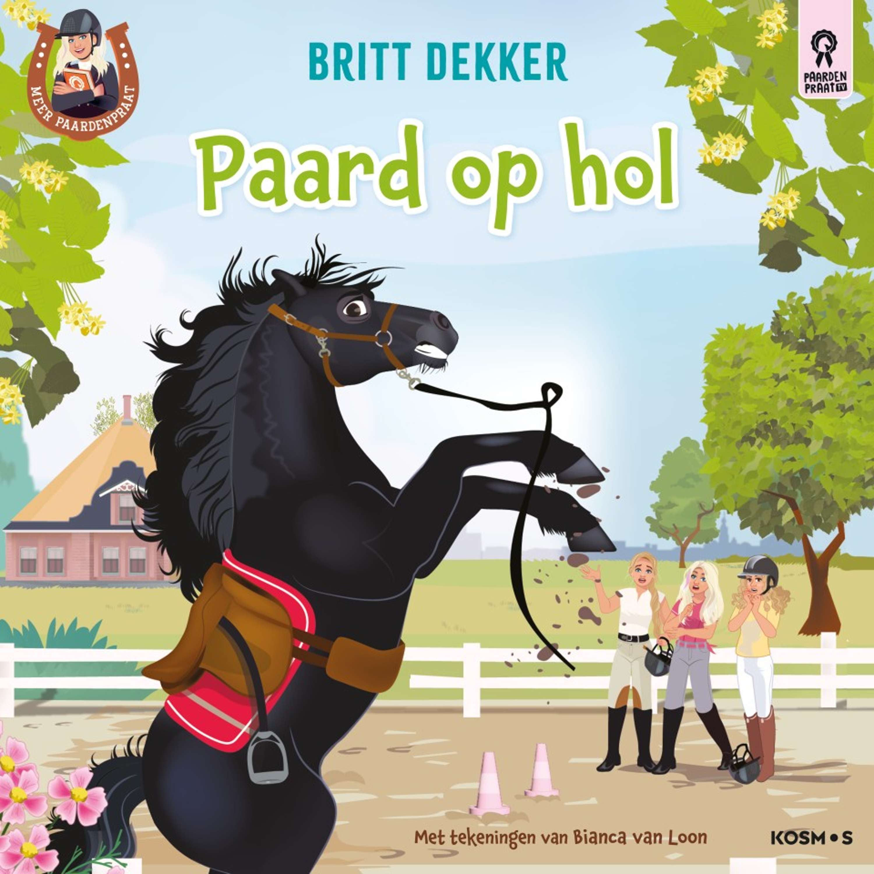 Paard op hol