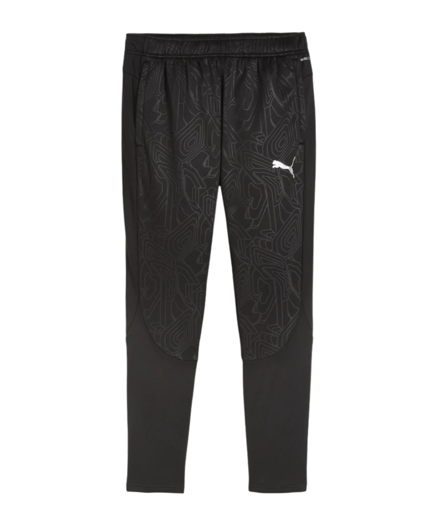 PUMA teamFINAL Trainingshose Schwarz F03