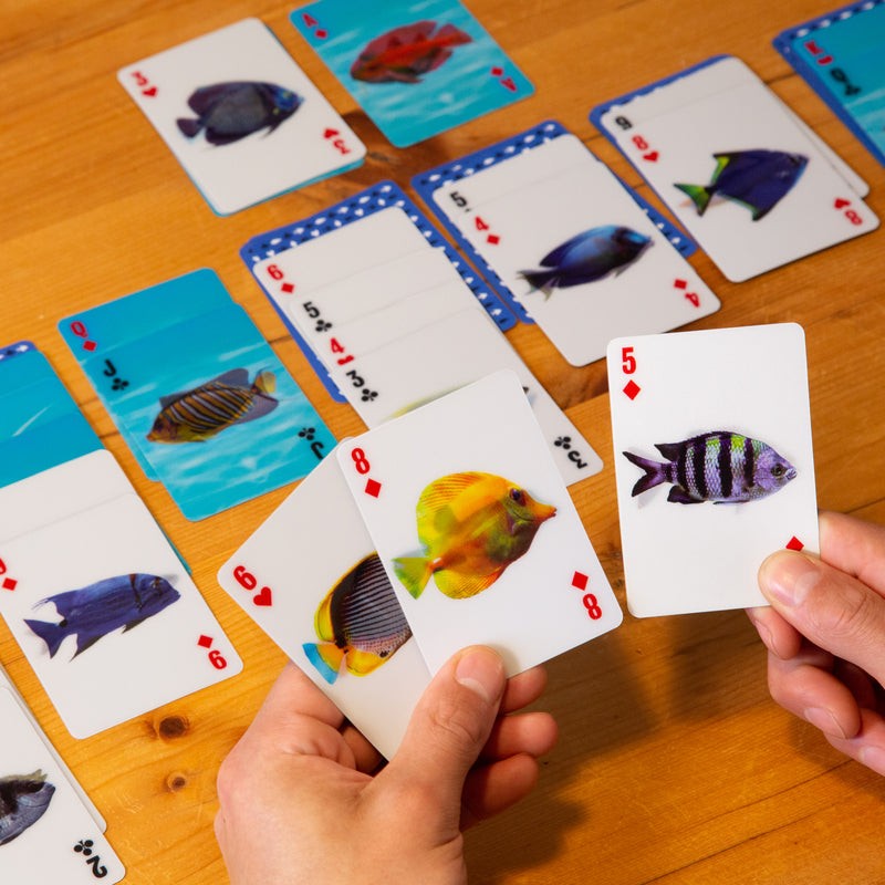Fish 3D Cards