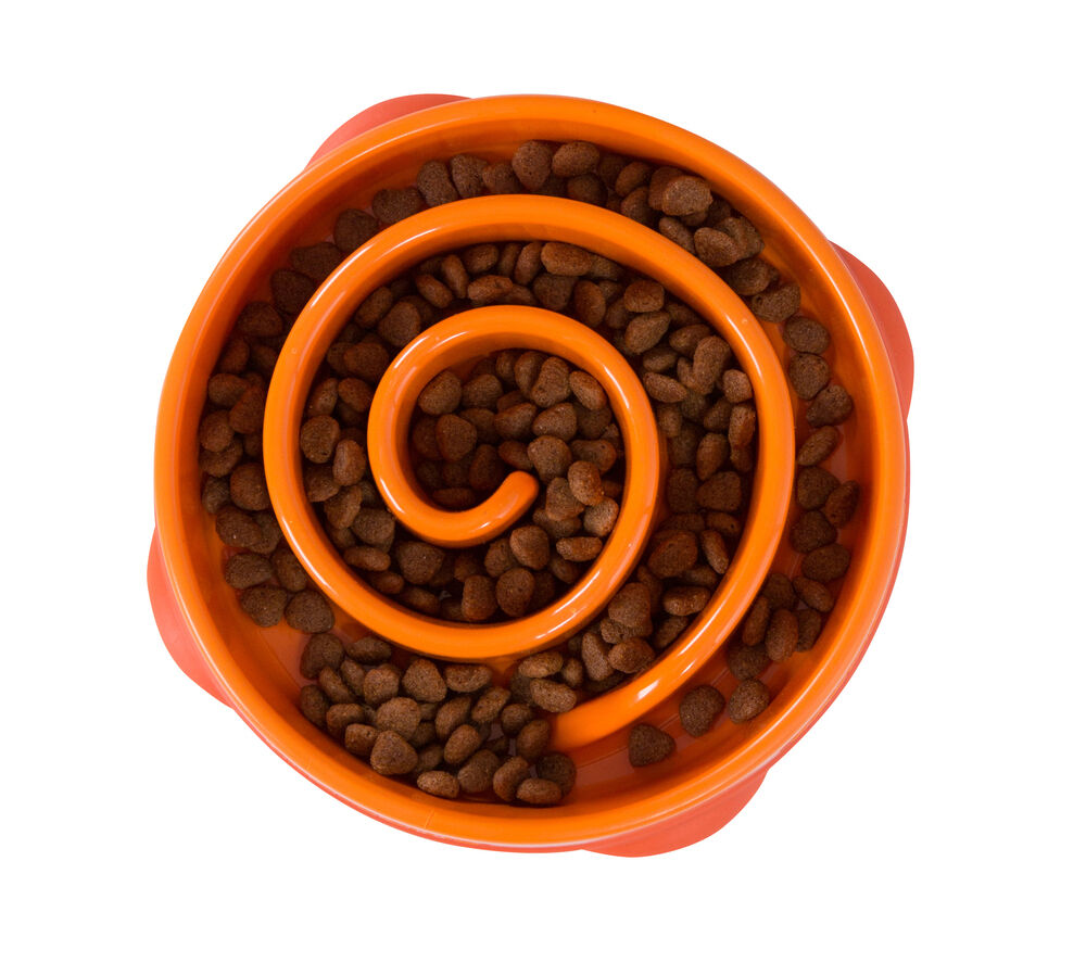 Outward Hound Anti schrokbak - Voerbak Hond - Oranje - 21 cm