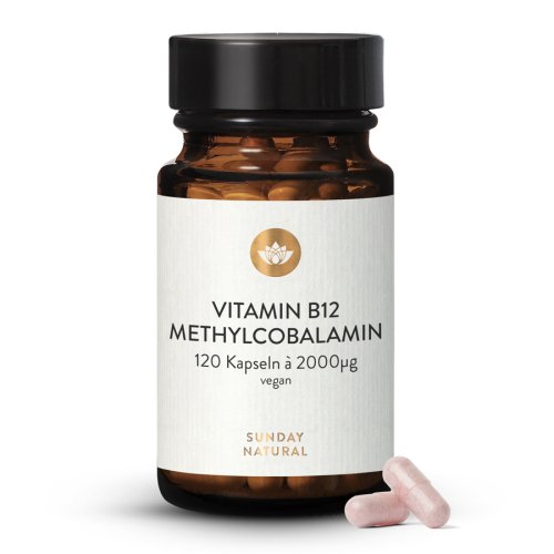 Sunday Natural Products  Vitamin B12 Methylcobalamin 2000µg