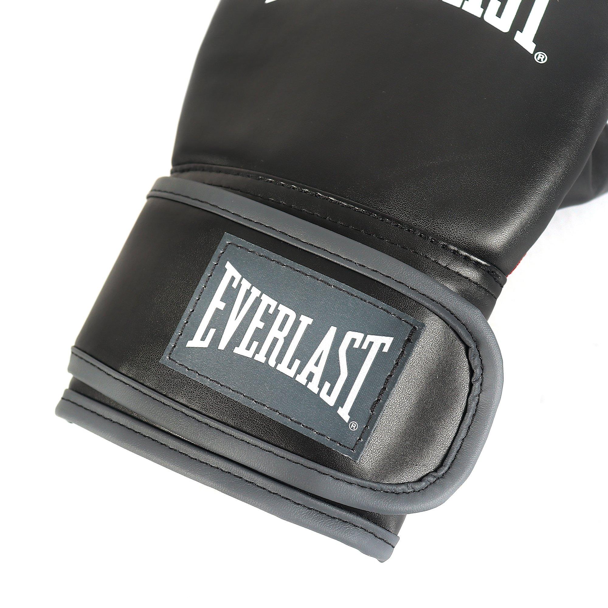 Everlast MMA Training Glove