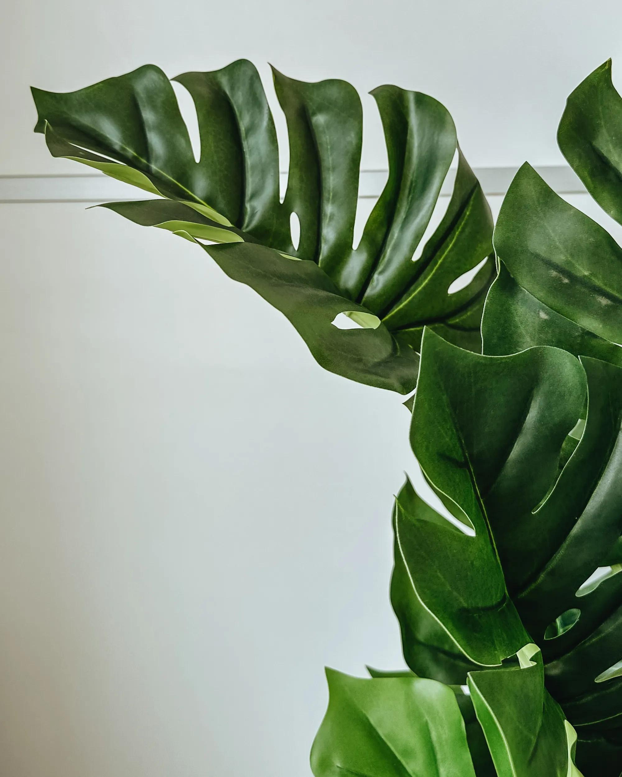 Kunstplant MONSTERA PLANT 94 cm Groen