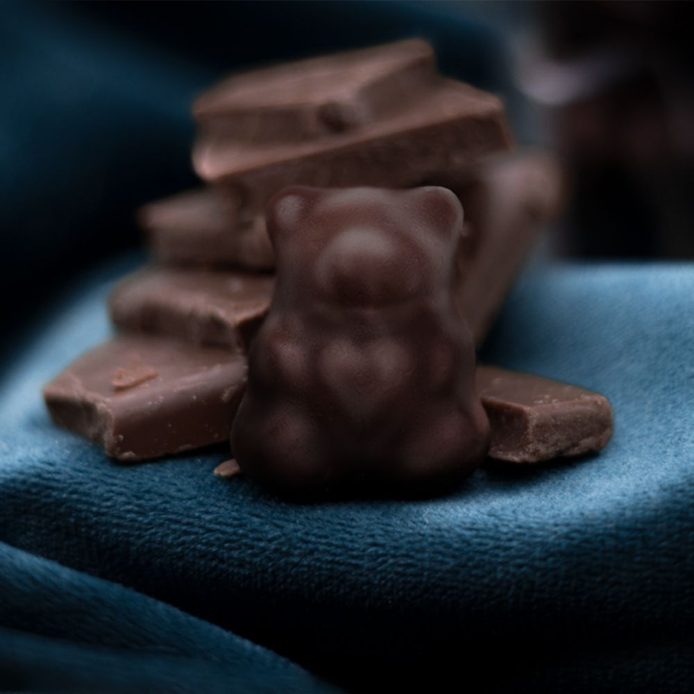 naschlabor Fruchtgummis Fruchtsaftbären mit Zartbitterschokolade