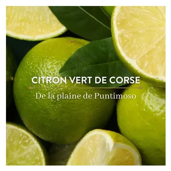 Le Petit Olivier - Gel de banho - Limão da Córsega - Sem sabão 270ml
