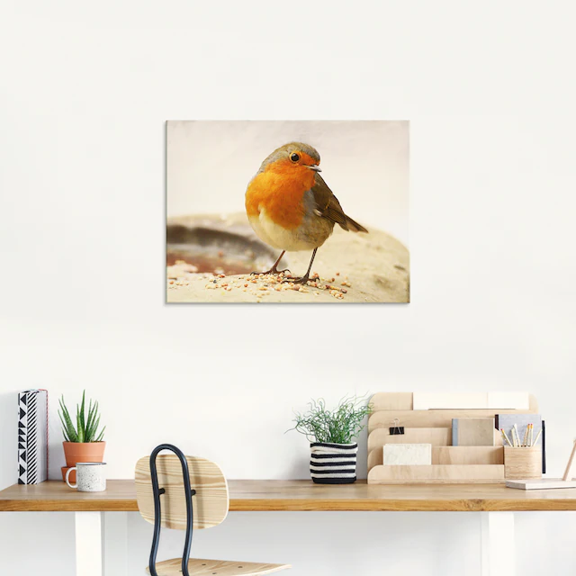 Artland Glasbild »Rotkehlchen« Vögel 1 Stk. tlg. in verschiedenen Grössen