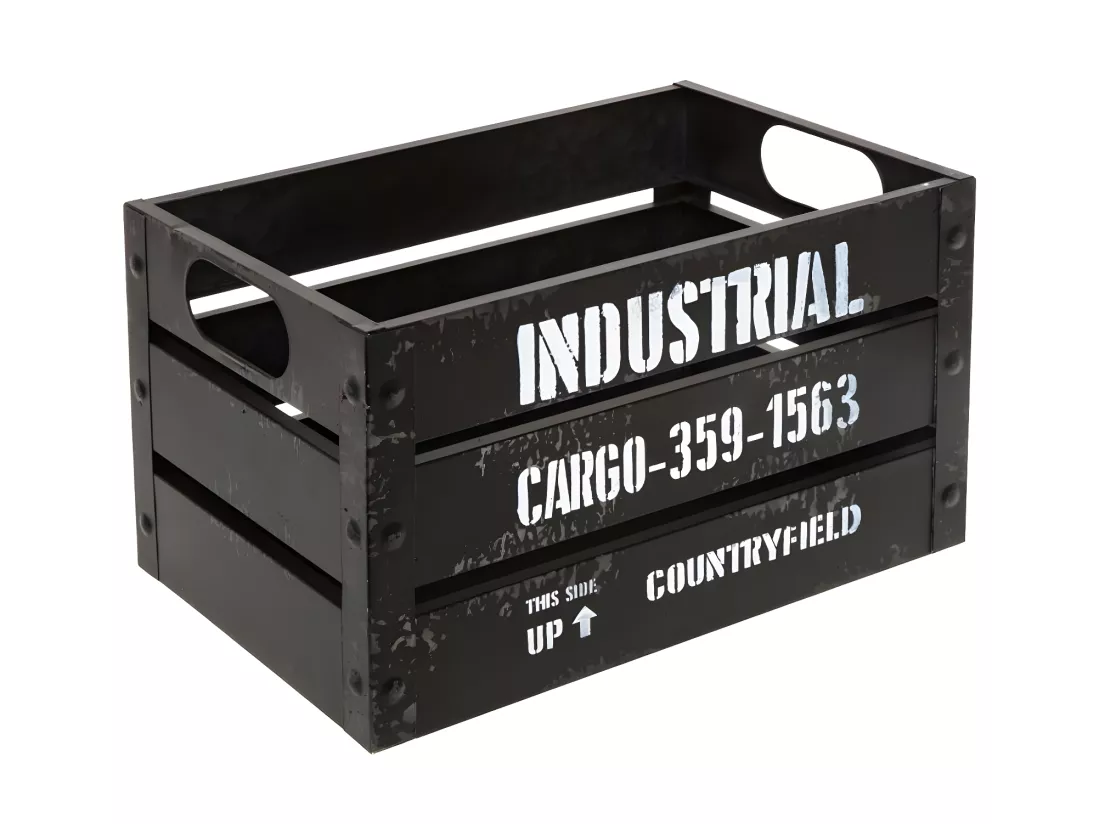 Lot de 3 Cagettes de Rangement 