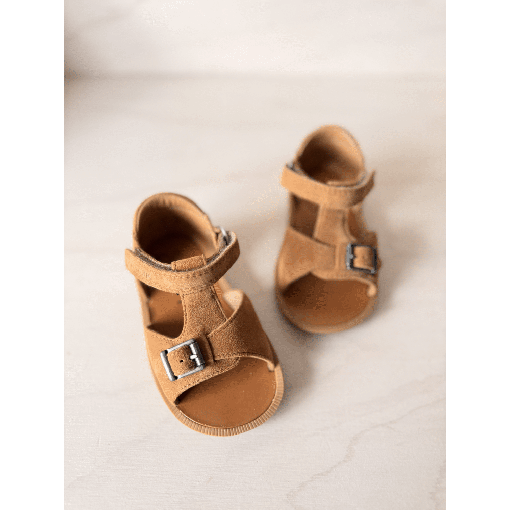 POM D'API - Poppy Easy - Camel Light