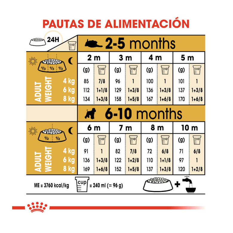 Ração Royal Canin para filhotes de Schnauzer Miniatura