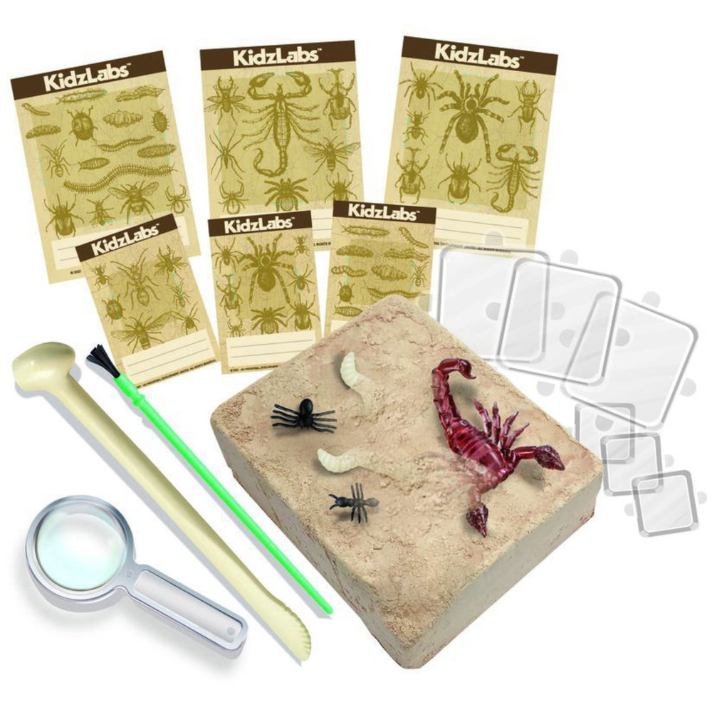 Køb 4M Kidzlabs / Creepy Crawly Digging Kit