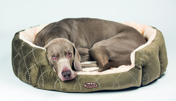 Nobby Komfortbett Ceno, oval