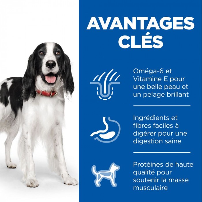 HILL'S Science Plan All Breed Adult en Boîtes au Poulet ou au Boeuf - Pâtée pour chien