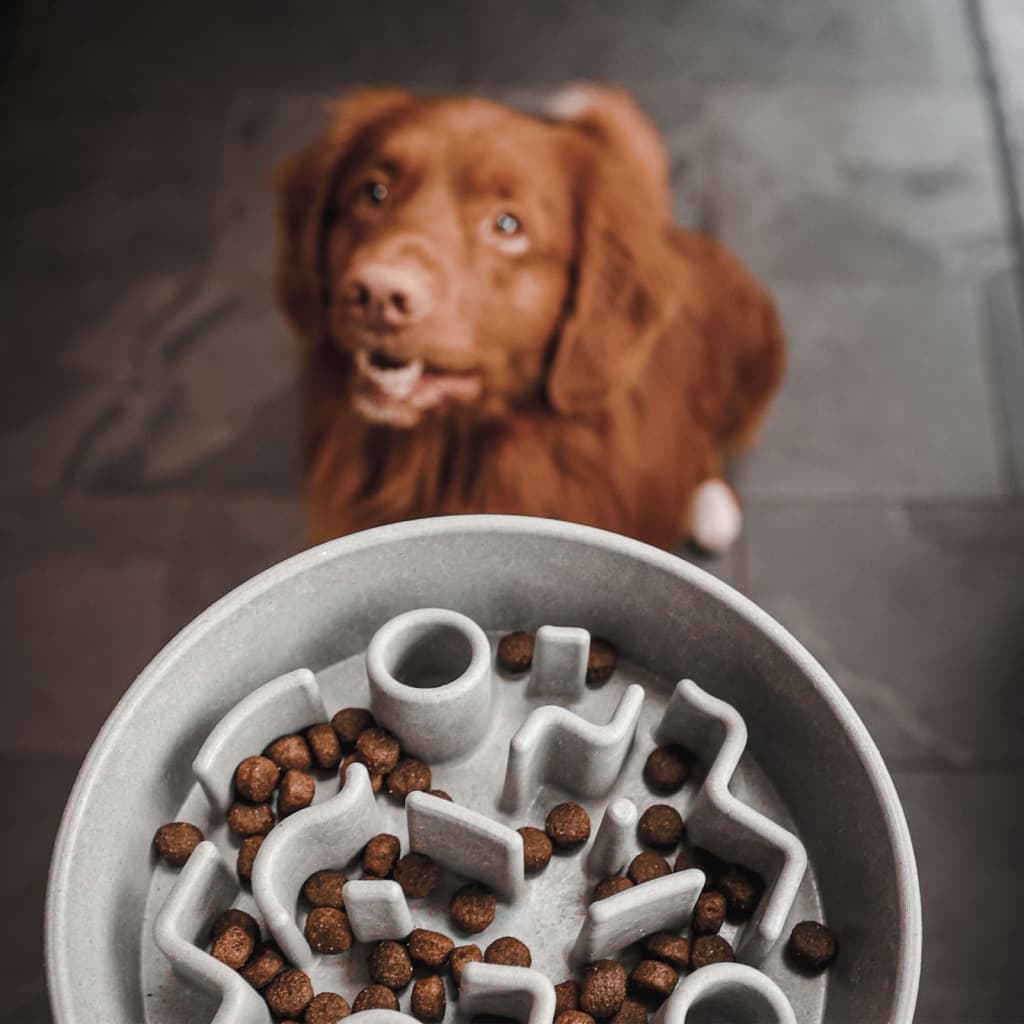 Alimentador de animais de estimação