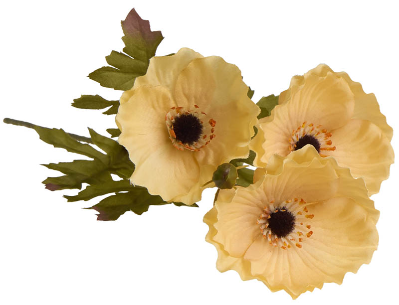 Valmue stilkblomst 50 cm aprikos