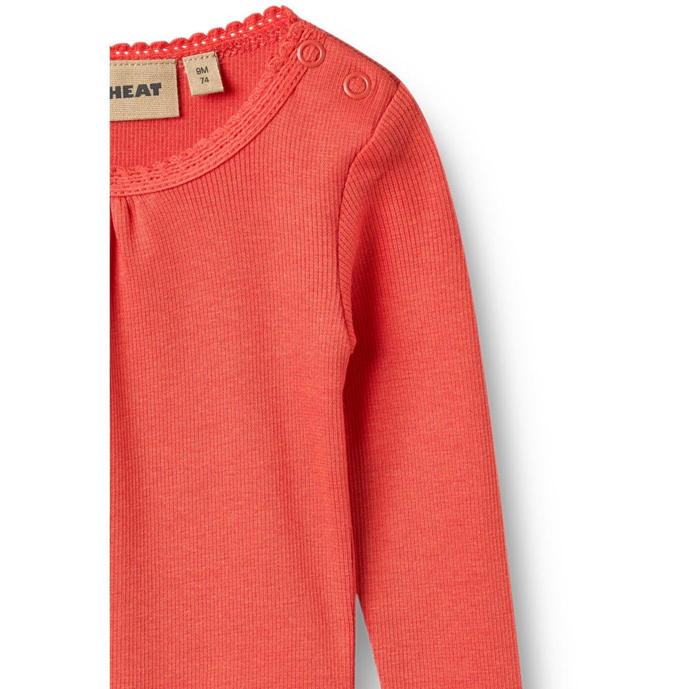 Køb Wheat Candy Red Rib Body Lotta