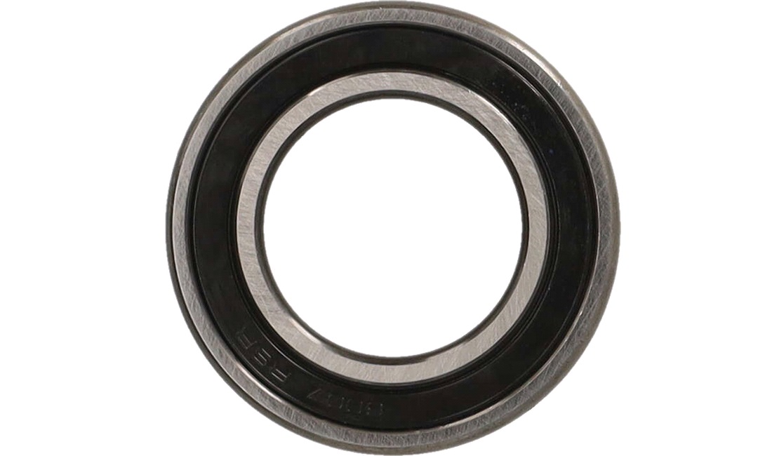 Leje 6007-2RS1, FAG 25X62X14mm