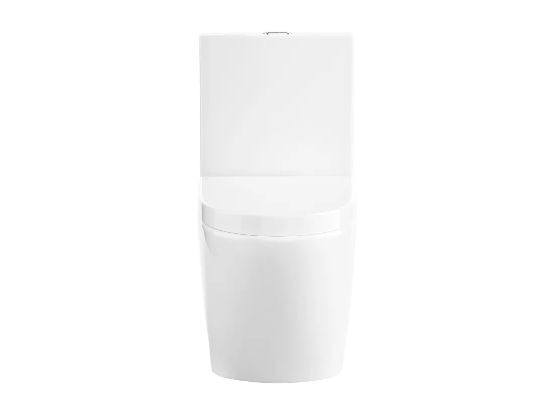 WC à poser blanc brillant en céramique - Evacuation horizontale - NAGILAM