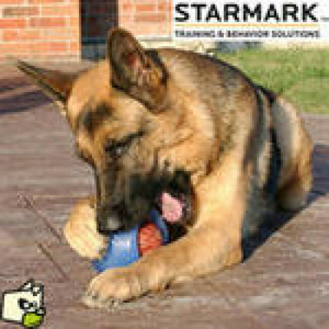 Jouet Everlasting Starmark hyper résistant pour chien