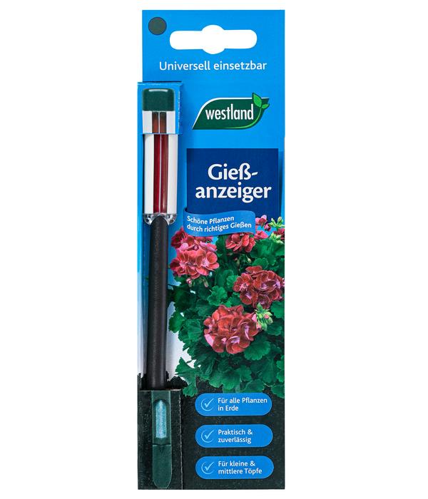 Westland Gießanzeiger