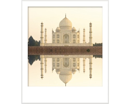 Premium muurverf Stijl Kleur SELECTIE 22 conserveermiddelvrij Taj Mahal 2,5 L