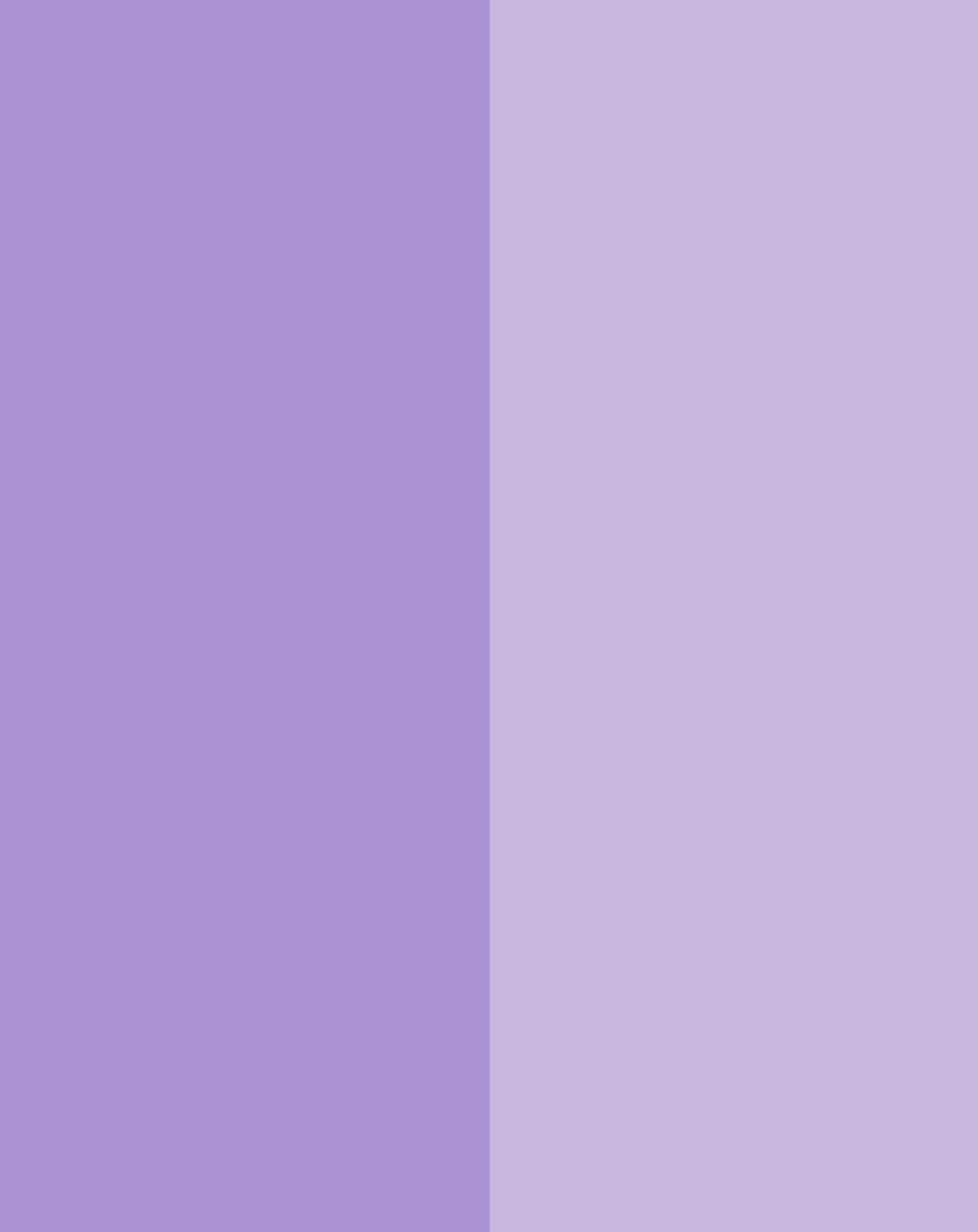 Schulranzen-Set BOXY UNIQUE (30x25x42) 7-teilig in violet/lavender