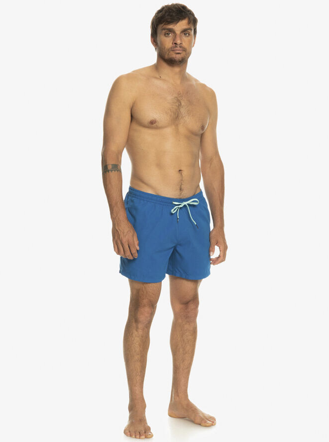 Quiksilver Everyday 15