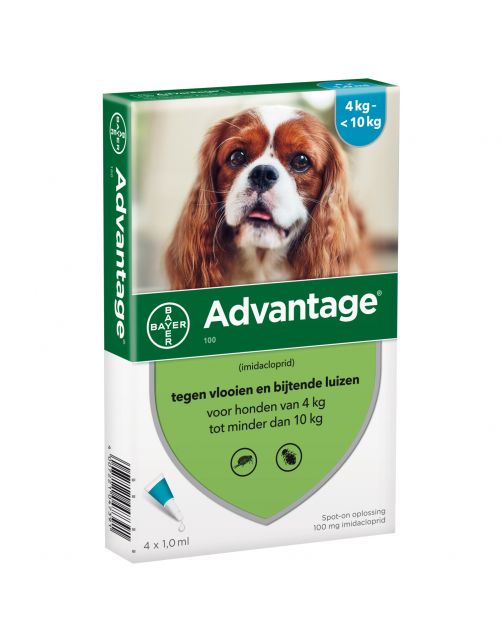 Advantage Hond 4 pip - Anti vlooien en luizenmiddel