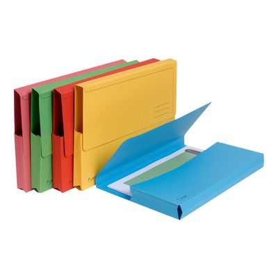 Exacompta Forever - 10 Chemises poche - 290 gr - couleurs assorties