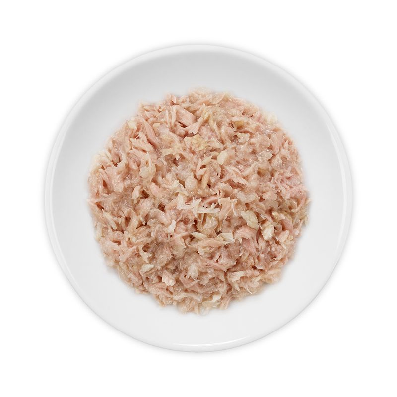 Lot Cosma Thai/Asia en gelée 24 x 170 g