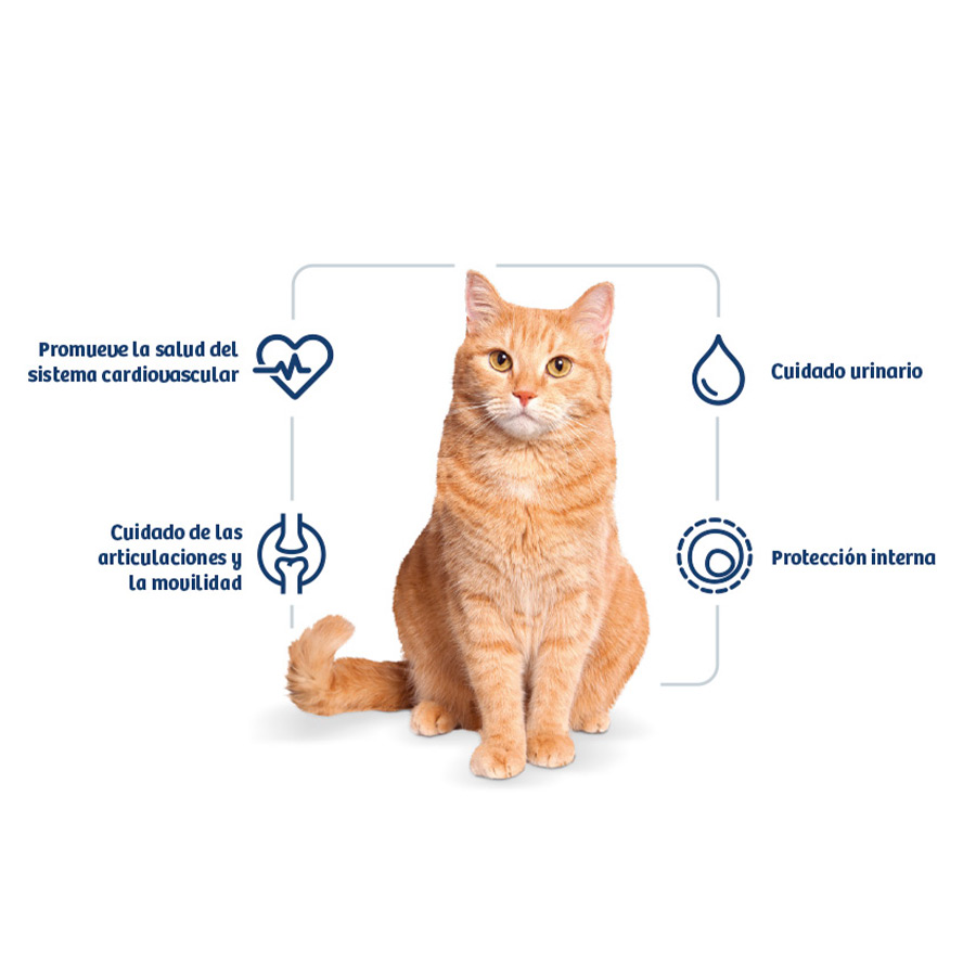 Ração para gatos adultos Nath sabor frango e arroz