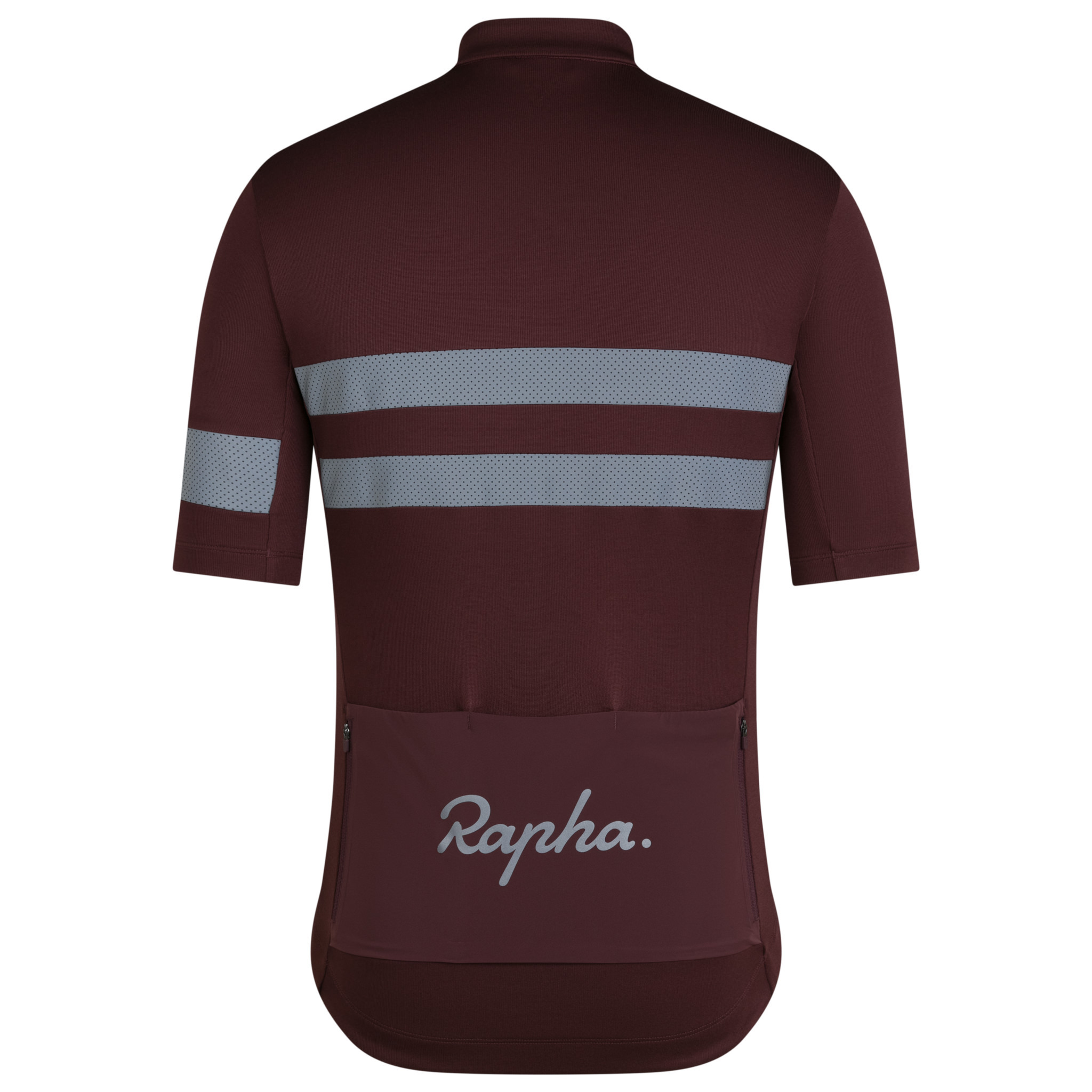 Men's Brevet Jersey