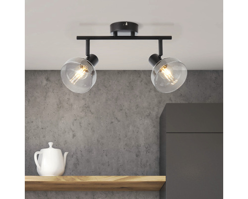 Plafondspot, 2-lichts, HxL 19,5x43 cm, matzwart/rookglas