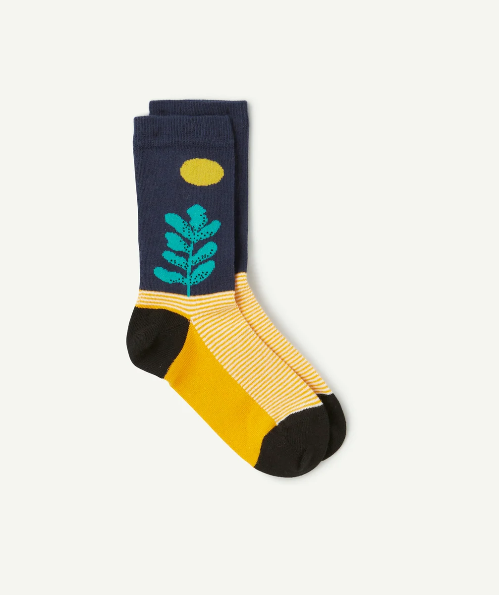 JIMMY LIONPAIRE DE CHAUSSETTES THÈME CHIEN PHOTOGRAPHE