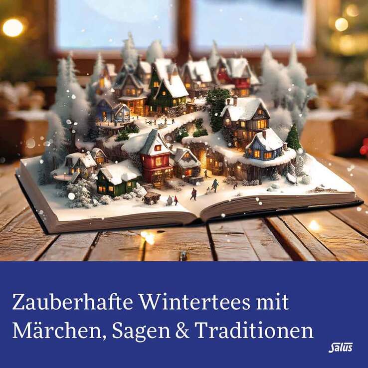 Winter-Wichtel Wintertee Bio Salus Filterbeutel, 15 St